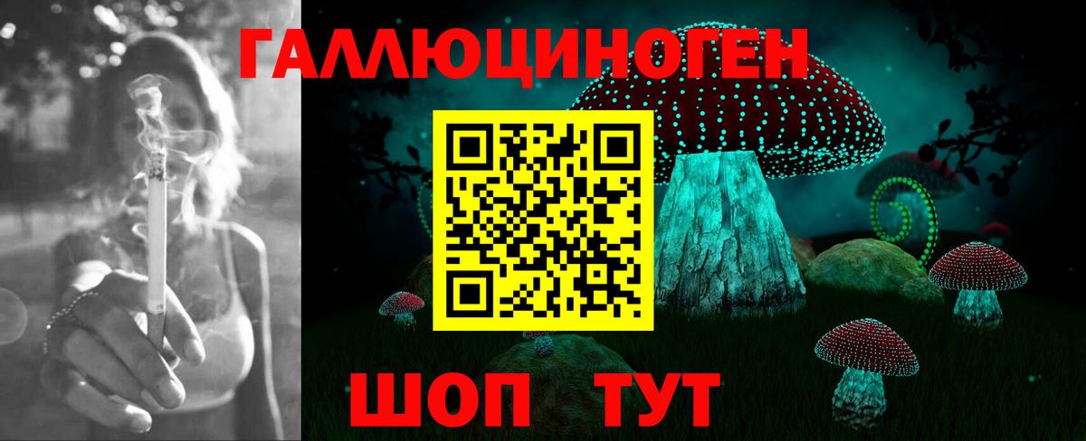 Псилоцибиновые грибы Psilocybe  Вход с VPN  Шелехов  Псилоцибиновые грибы мухоморы 